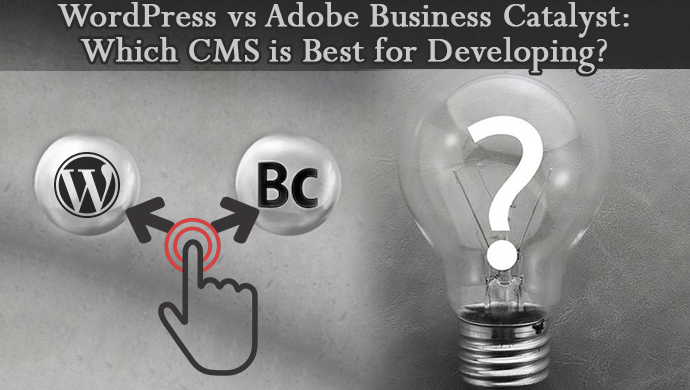 Wordpress vs Adobe Business