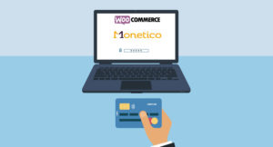 Monetico Payment Gateway for WooCommerce by elsner