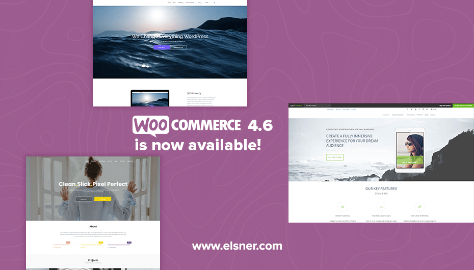 WooCommerce-4.6