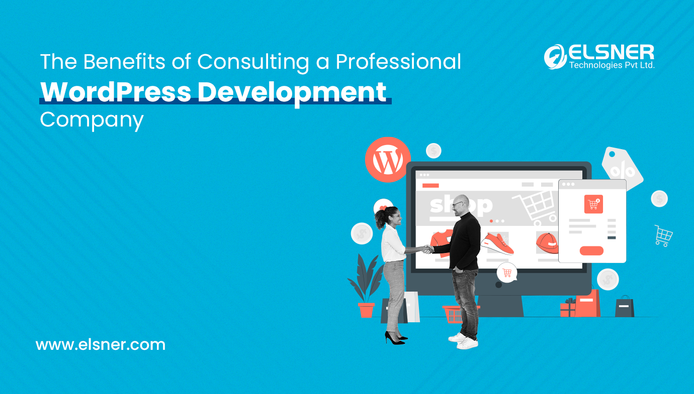 The Benefits of Consulting a Professional WordPress Development Company